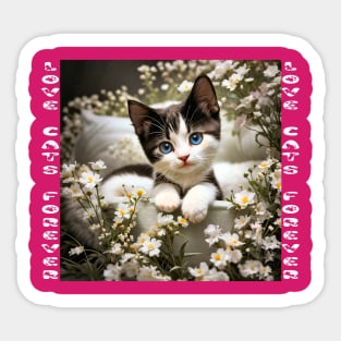 Love Cats Forever Cute Kitten Sticker